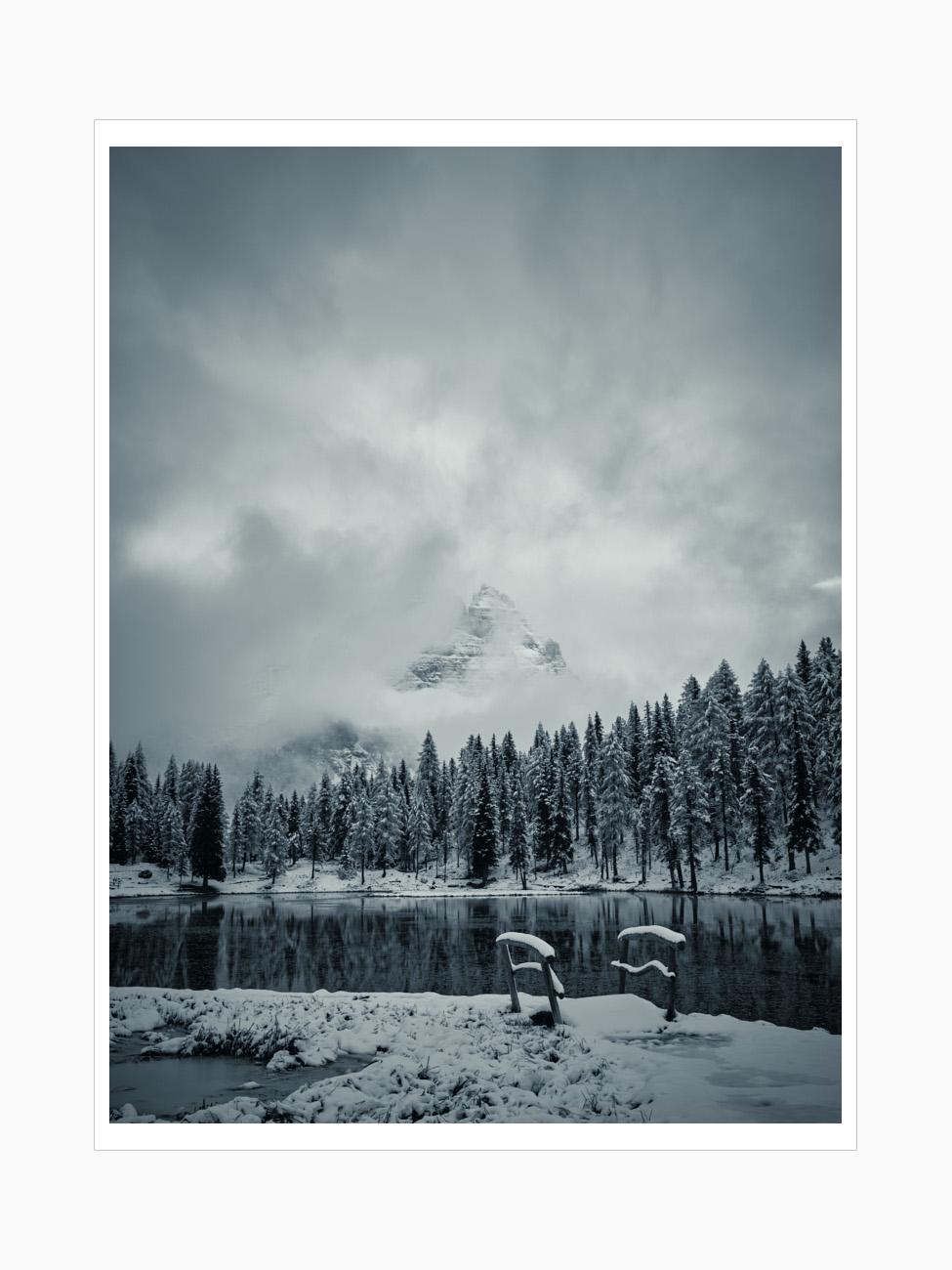 Max Schiefele Alle Bilder  DSF2252